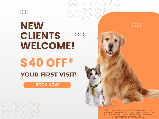 Northmont Animal Clinic About